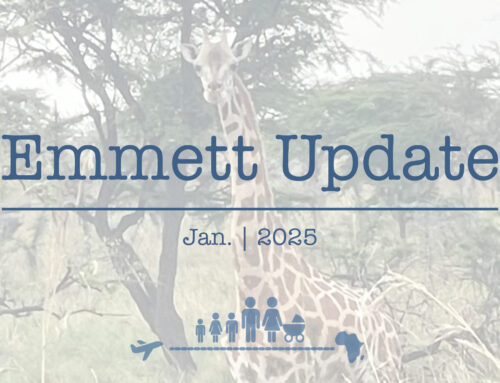 Emmett Update | January 2025