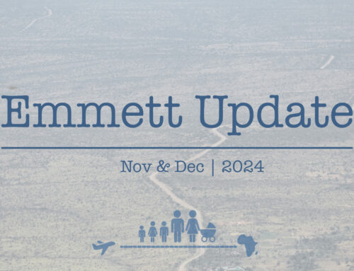 Emmett Update | November & December 2024