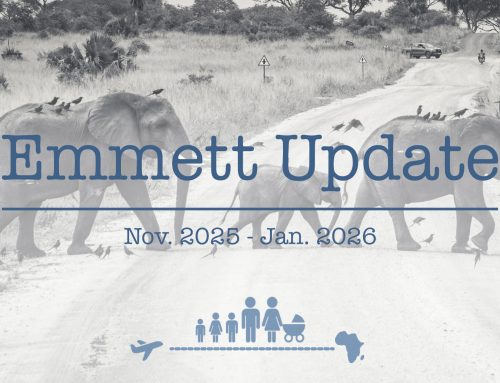 Emmett Update | Nov 2025 – Jan 2026