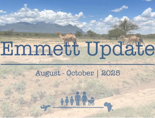 Emmett Update | August – October 2025